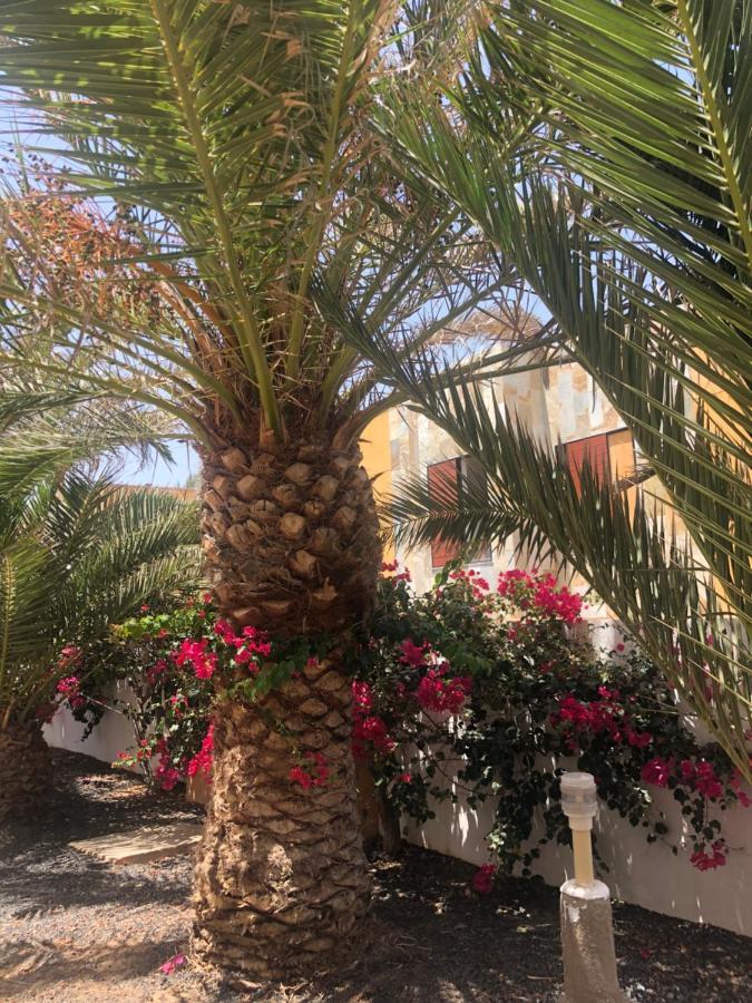 Apartamento Le Soleil De Fuerteventura Costa De Antigua Εξωτερικό φωτογραφία